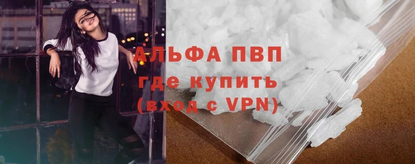 дживик Арсеньев