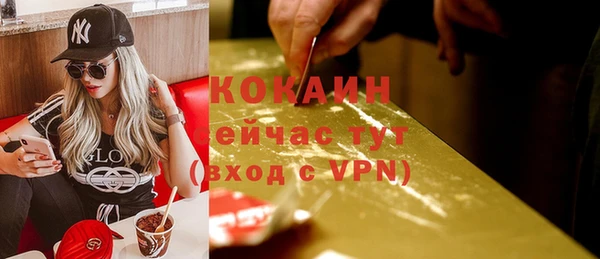 дживик Арсеньев