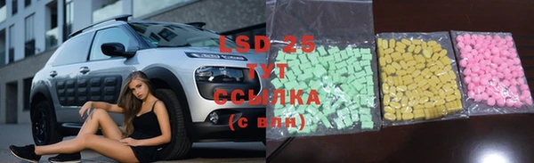 мяу мяу мука Аркадак