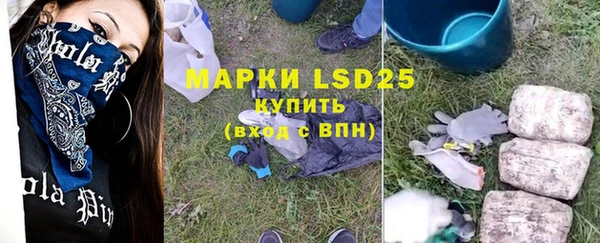 мяу мяу мука Аркадак