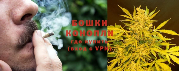 мяу мяу мука Аркадак