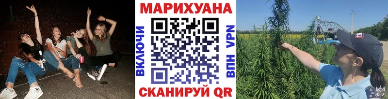 Купить  Нижний Новгород  Марихуана план 